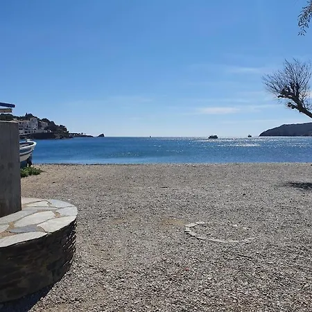 Apartment Espectacular Planta Baja Con Terraza Y Parking A 5 Min De La Playa Cadaques
